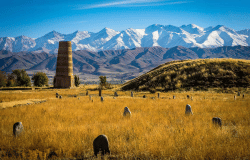 14 Days Single Entry Tourist Visa